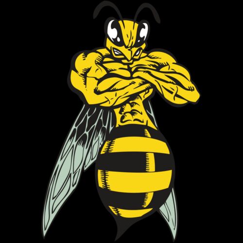 BAW BEE 16 RC Thumbnail