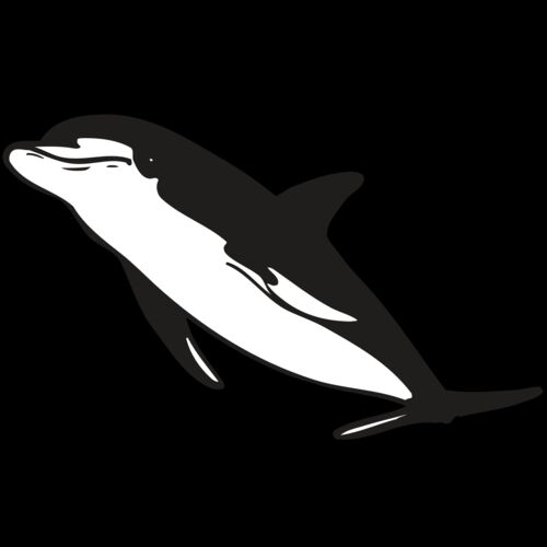 AR DOLPIN 13 RC Thumbnail