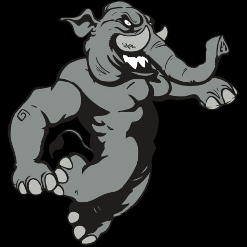 AR5 Elephant 09 RQC Thumbnail