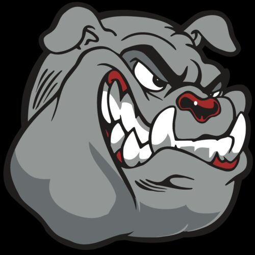 AR BDOG 13 RC Thumbnail