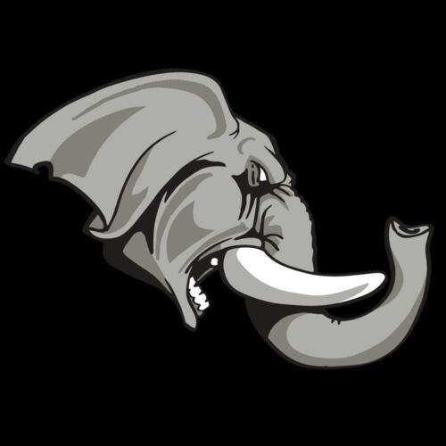 AR ELEPH 20 RC Thumbnail