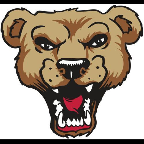 AR9 BEAR HD 01 RQC Thumbnail