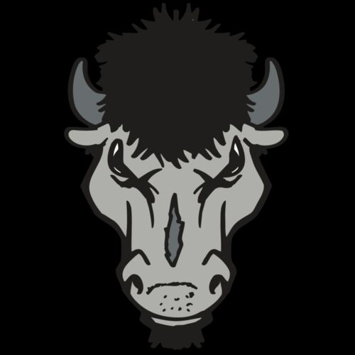 AR BUFFALO 15 RC Thumbnail