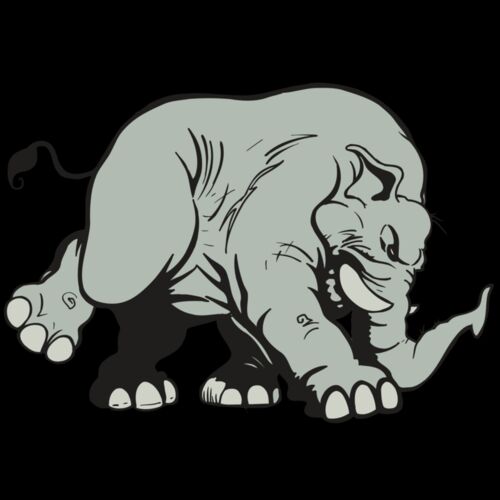 AR5 Elephant 08 RQC Thumbnail