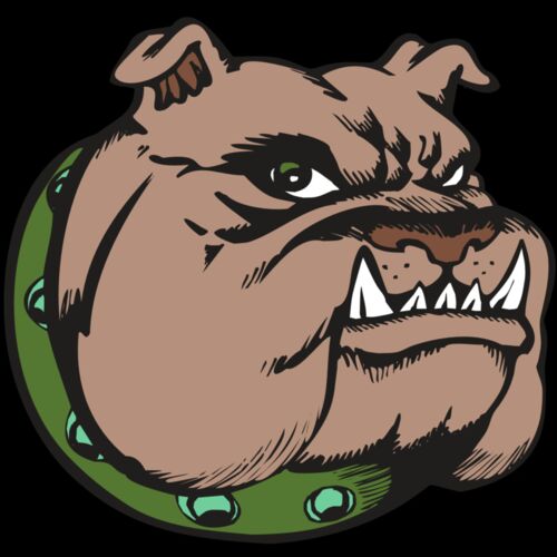 BAW BULLDOG 14 RC Thumbnail