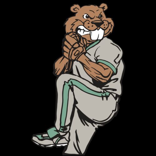 AR5 BASE BEAVER 01 RQC Thumbnail