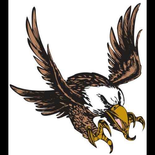 BAW EAG 05 RC Thumbnail