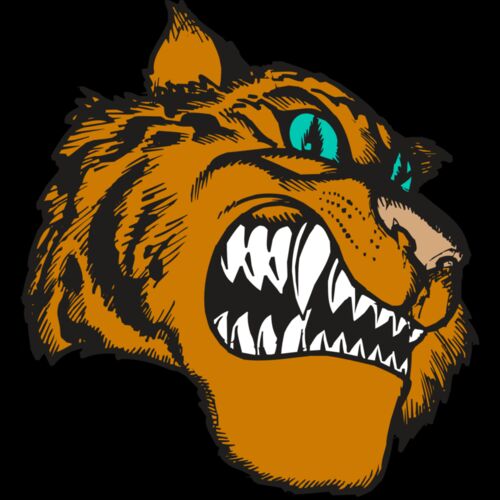 BAW TIGER 11 RC Thumbnail