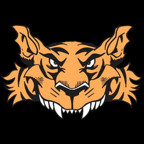 AR5 Tiger 07 RQC Thumbnail