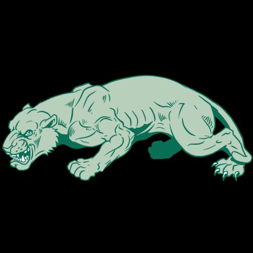 AR10 PANTHER 05 RQC Thumbnail