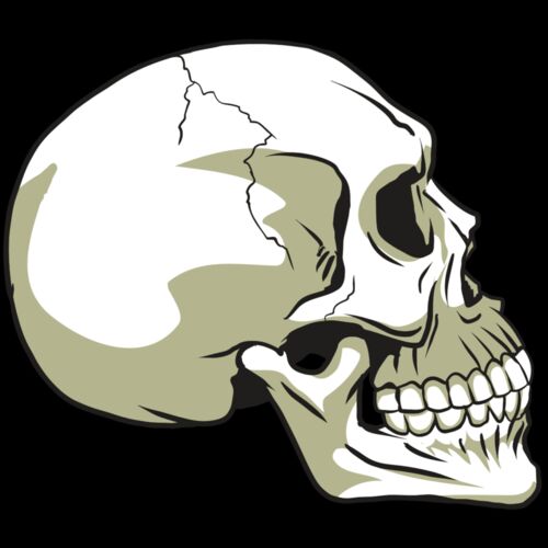 AR24 SKULL 12 RQC Thumbnail