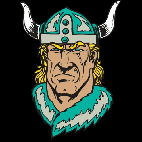 AR VIKING 30 RC Thumbnail