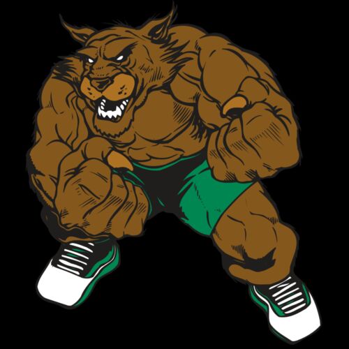 AR WILDCAT 45 RC Thumbnail