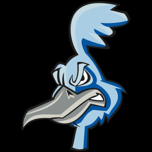 ROADRUNNER HD0501 RQC Thumbnail