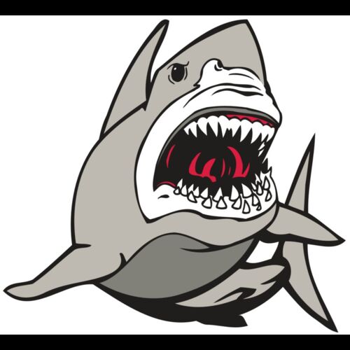 AR5 Shark 07 RQC Thumbnail