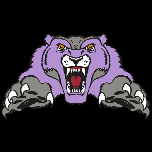 AR WOLVERINE 17 RC Thumbnail