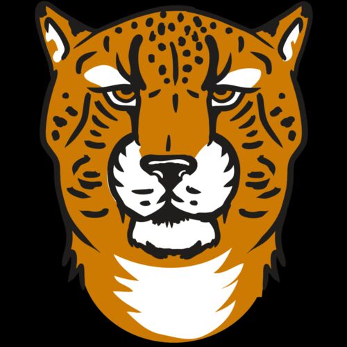 AR32 CHEETAH 01 RQC Thumbnail