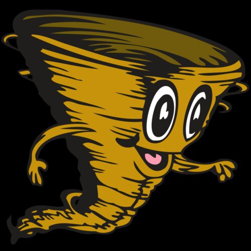 BAW STORM 14 RC Thumbnail