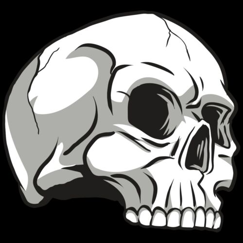 AR24 SKULL 10 RQC Thumbnail