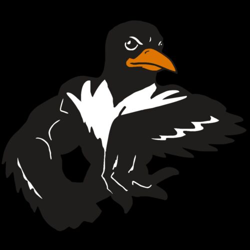 AR ORIOLE 22 RC Thumbnail