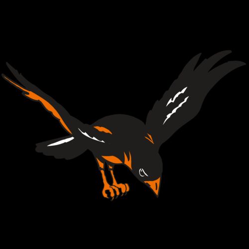 AR ORIOLE 16 RC Thumbnail