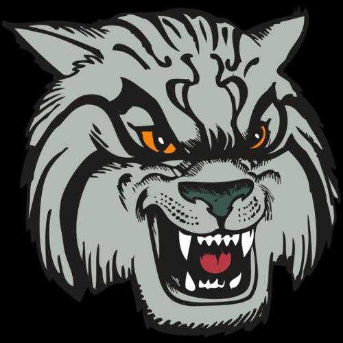 BAW WILDCAT 03 RC Thumbnail