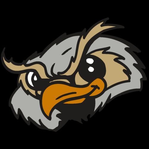 AR5 Owl 06 RQC Thumbnail