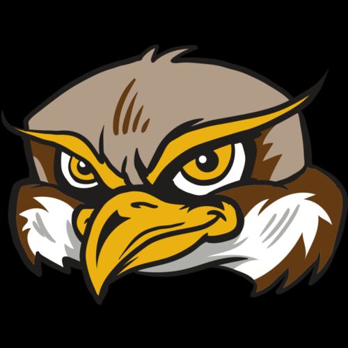 AR12 OWL 02 RQC Thumbnail