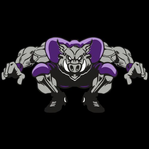 AR RAZORBACK 28 RC Thumbnail