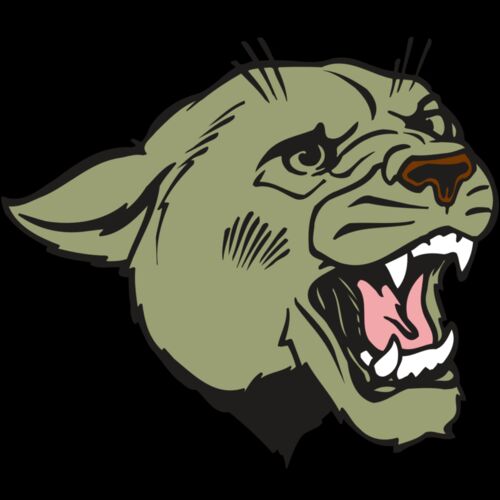 AR COUGAR 40 RC Thumbnail