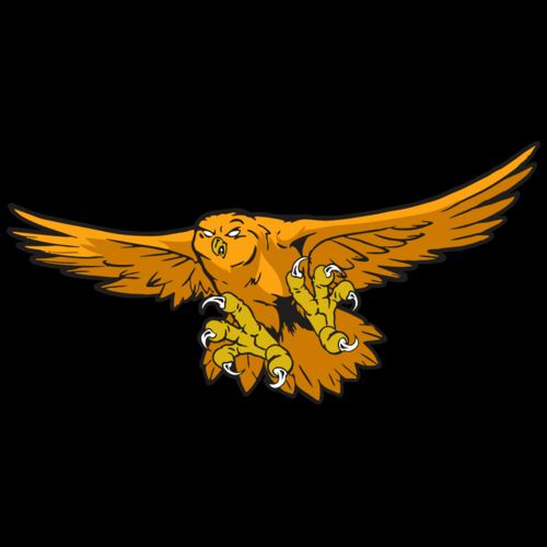 AR31 OWL 01 RQC Thumbnail