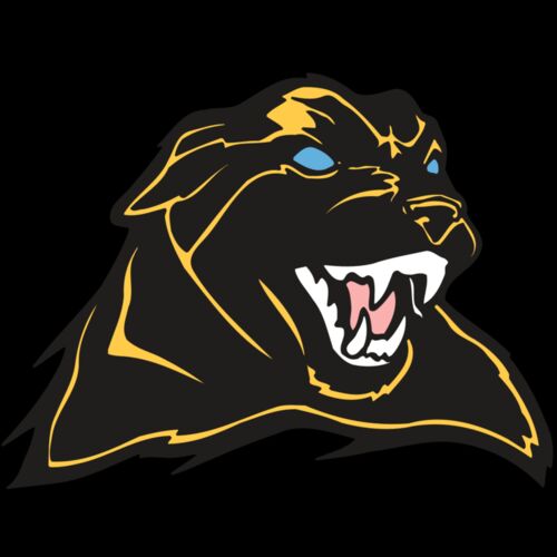 AR COUGAR 42 RC Thumbnail