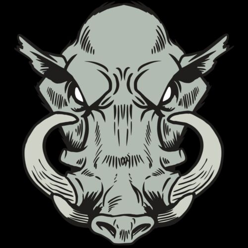 AR20 RAZORBACK 38 RQC Thumbnail