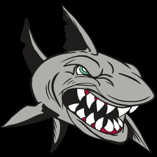 AR4 SHARK 01 RQC Thumbnail