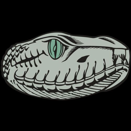 BAW SNAKE 10 RC Thumbnail