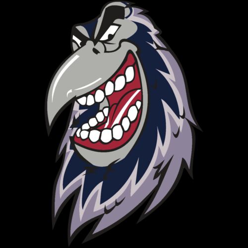 RAVEN HD0503 RQC Thumbnail