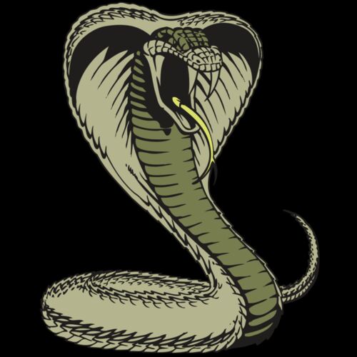 BAW SNAKE 07 RC Thumbnail