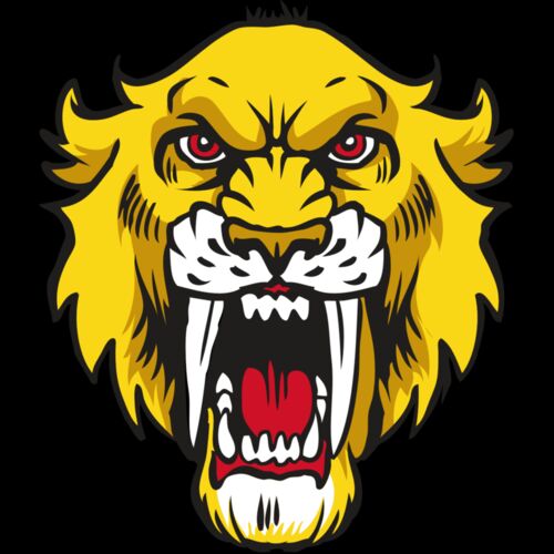 AR30 SABER 06 RQC Thumbnail