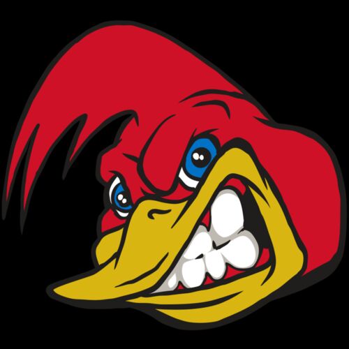 AR30 RRUNNER 03 RQC Thumbnail