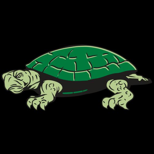 AR32 TURTLE 01 RQC Thumbnail