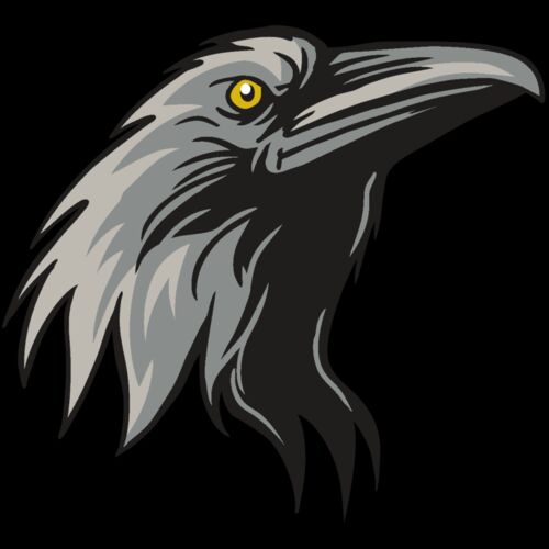 AR31 RAVEN 01 RQC Thumbnail