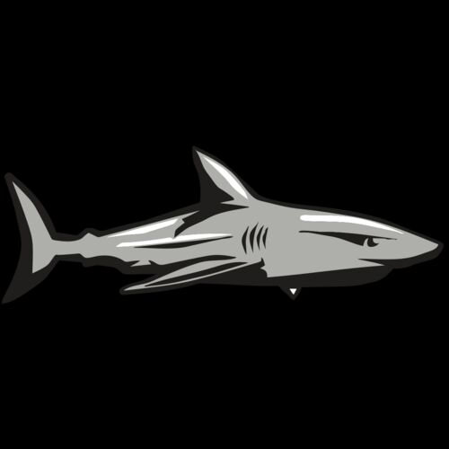 AR9 SHARK 01 RQC Thumbnail