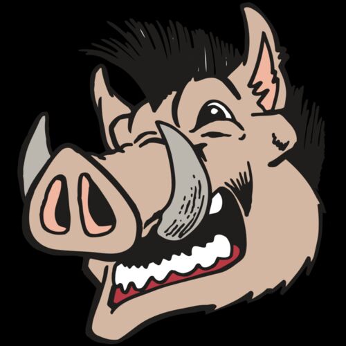 AR RAZORBACK 18 RC Thumbnail