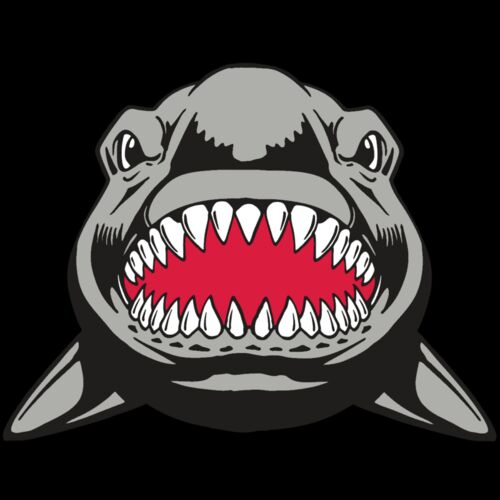 AR  SHARK 25 RC Thumbnail