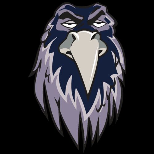 RAVEN HD0502 RQC Thumbnail