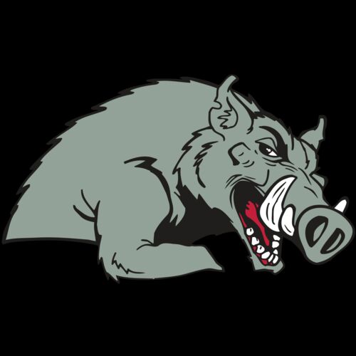 AR RAZORBACK 14 RC Thumbnail