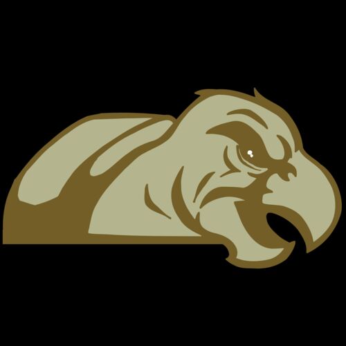 AR5 Turtle 02 RQC Thumbnail