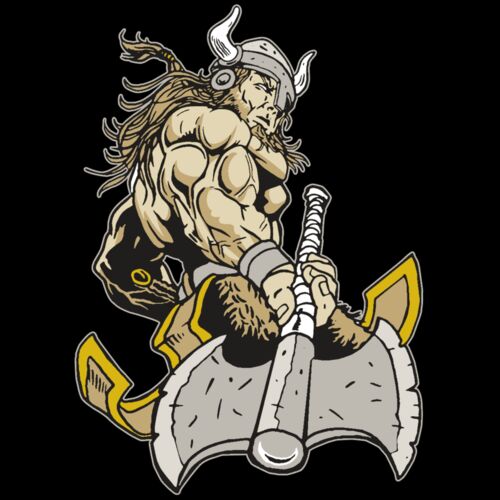 AR31 VIKING 01 RQC Thumbnail