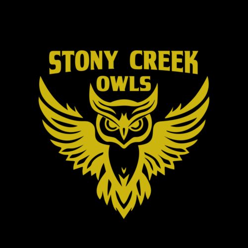 School Owls 04 Thumbnail