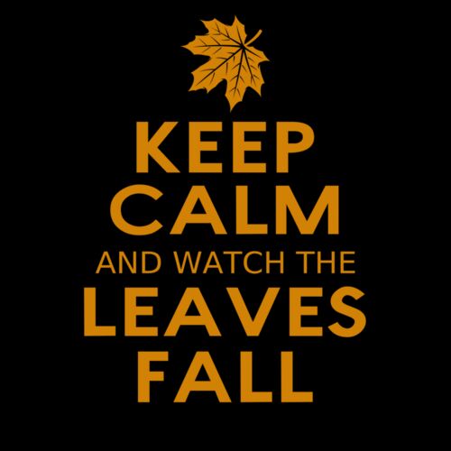 Fall Season 04 Thumbnail